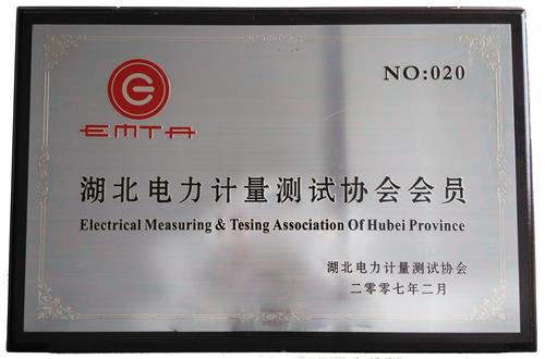 電力測(cè)量會(huì)員